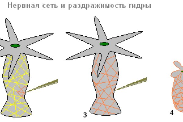 Площадка кракен kraken clear com