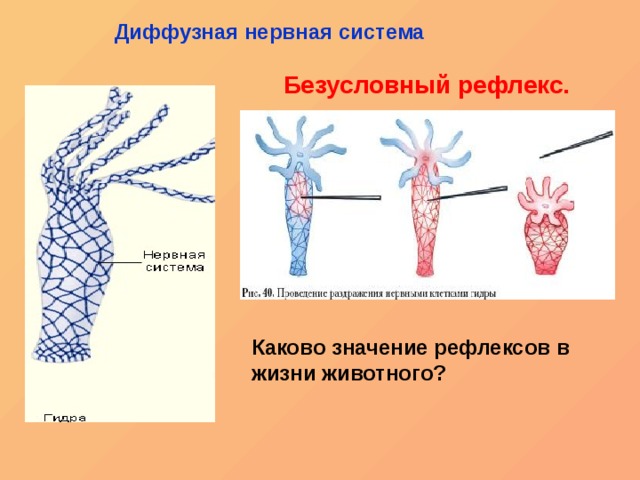 Кракен рабочее зеркало