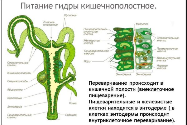 Как положить деньги на кракен