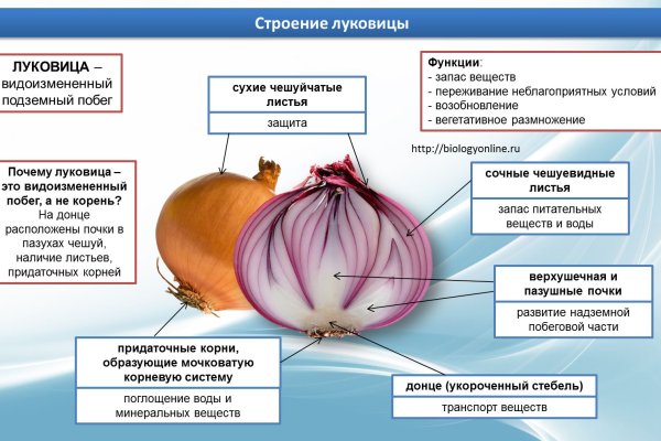 Кракен даркнет регистрация